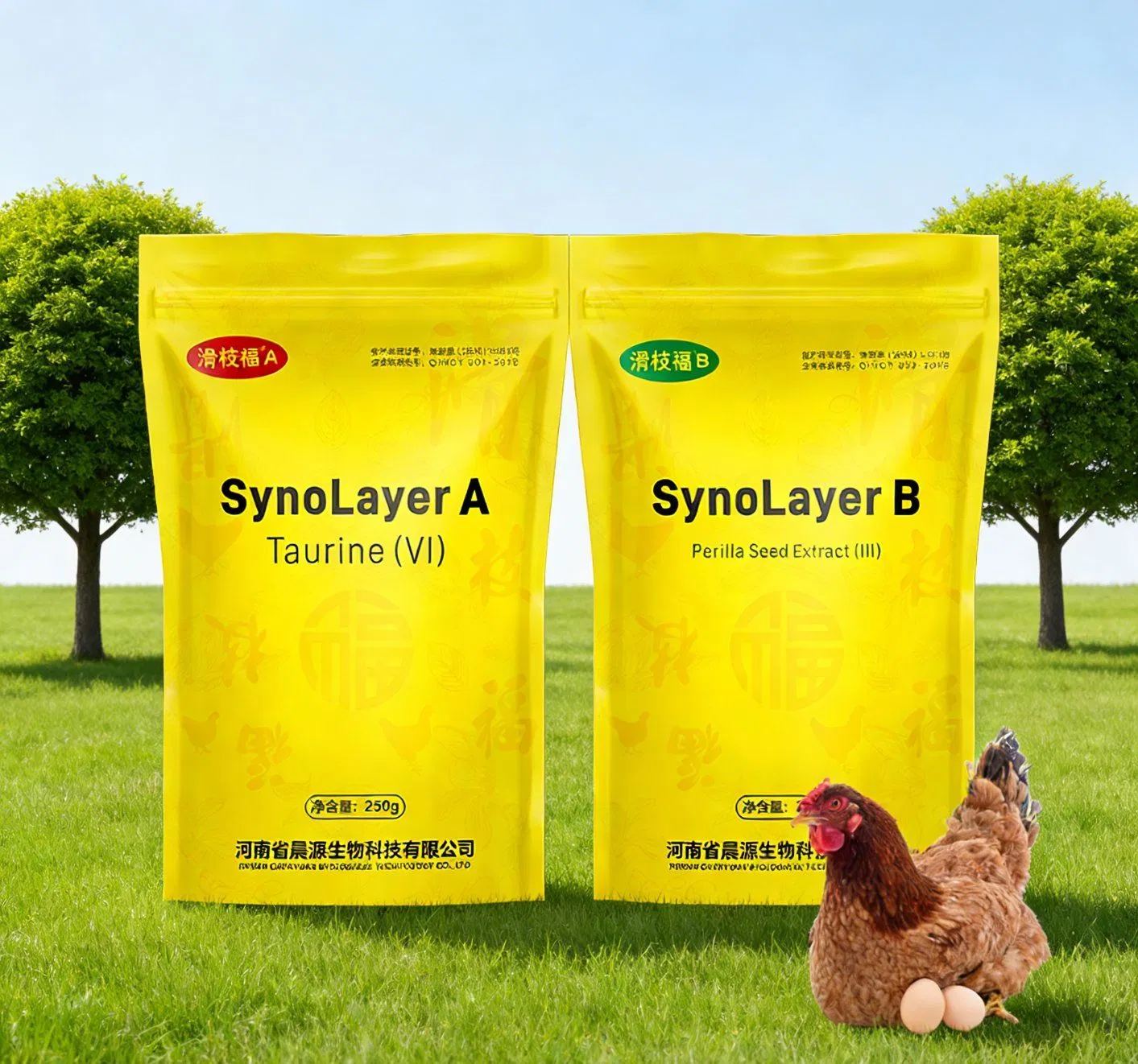Synolayer: No Drug Residues &amp; Drug Resistance &amp; Hormones for Laying Hens