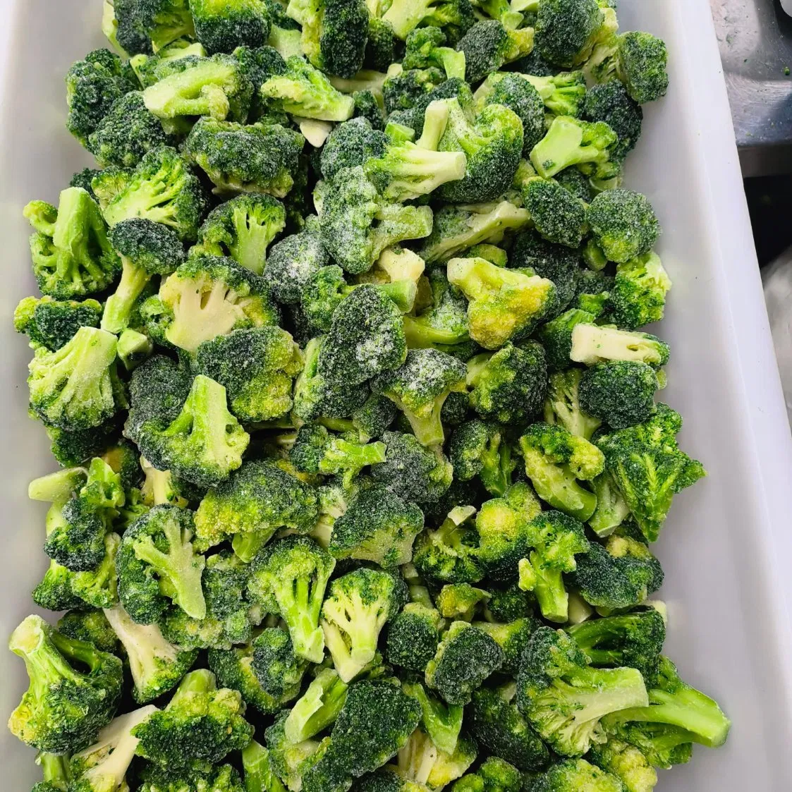 Health Conscious Consumer Demographics Seeking Pure Vegetable Ingredients with Global Shipping Compliance Support Pesticide Free Broccoli