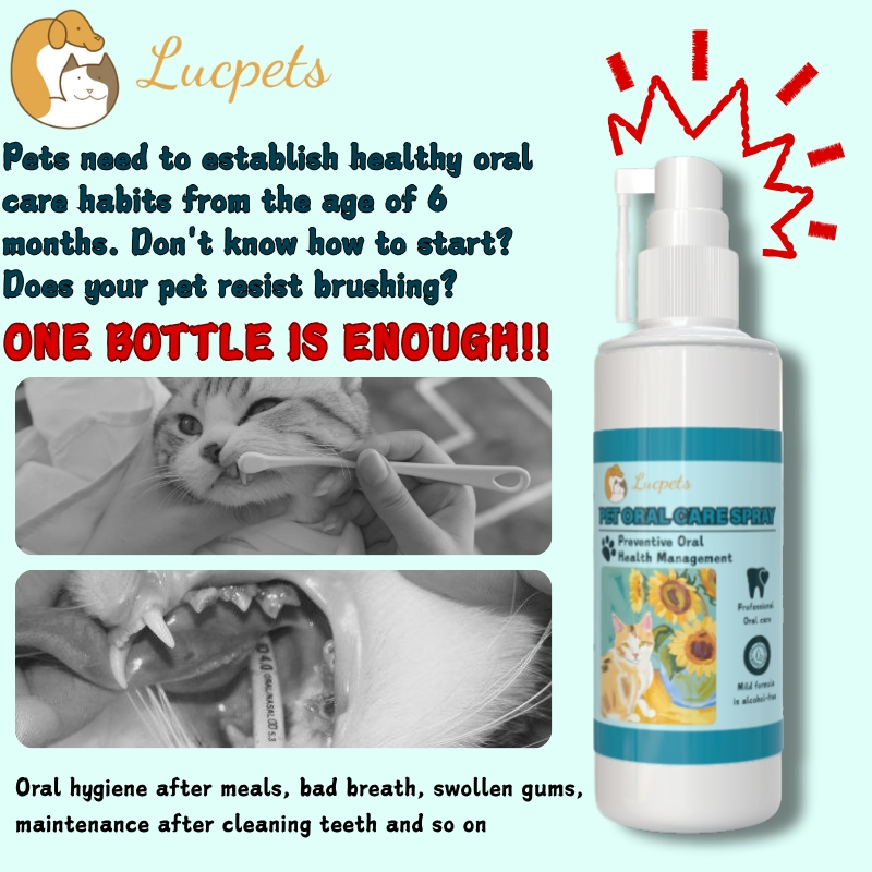 Pet Oral Care Spray Preventive Oral Health Management for Dogs and Cats Prevention of Oral Inflammation