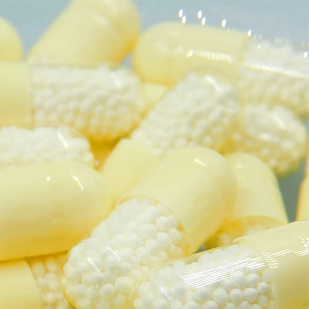 Health Food Mental &amp; Physical Stamina Chronic Fatigue Fighter