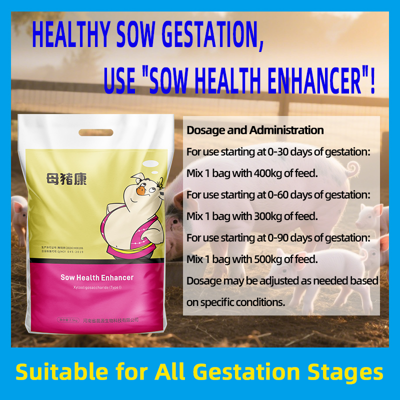 Sow Health Enhancer: Feed Additives Strengthens Vitality Supports Metabolic Health