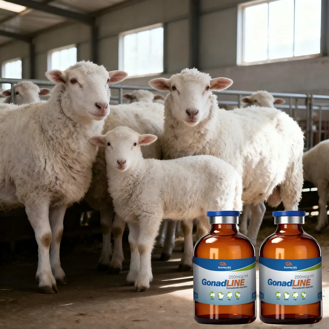 Animal Hormone Regulation 4