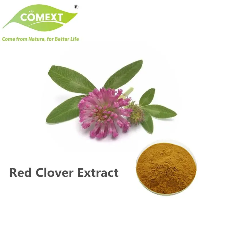 Red Clover Product Image