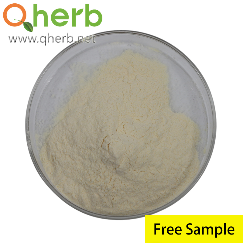 Total Ginsenosides 75% HPLC Radix Notoginseng Extract Cp2020 for Anti-Pain