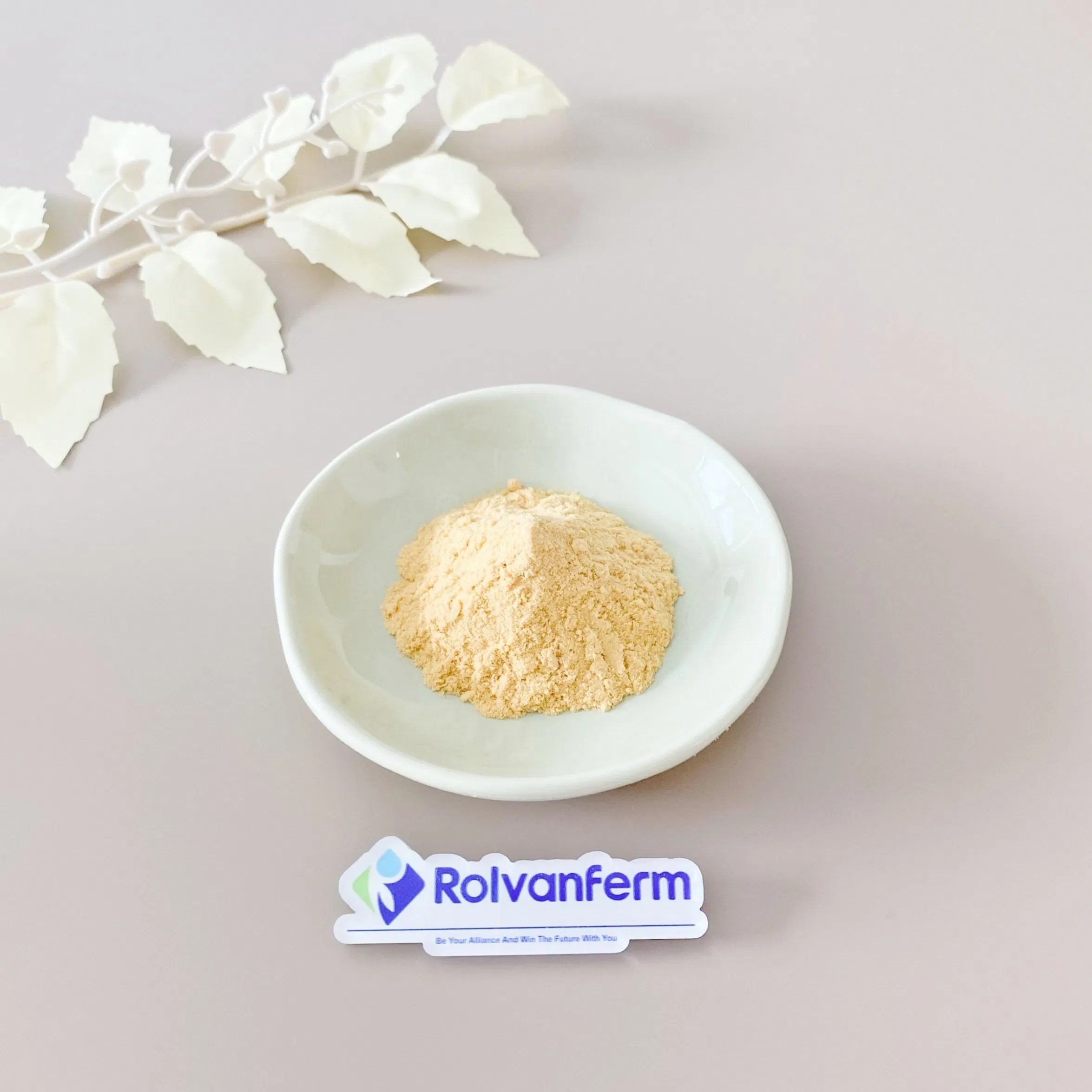 Precision Bioactive Molecule Deazaflavin with Unique Electron Transfer Properties for Innovative Longevity and Metabolic Health Formulations Deazaflavin