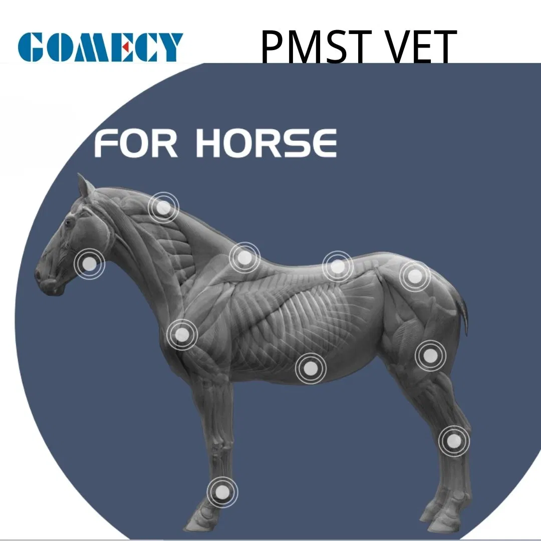 Gomecy Latest Hot Sale for Animals Pain Management Body Recovery with Pmst Vet