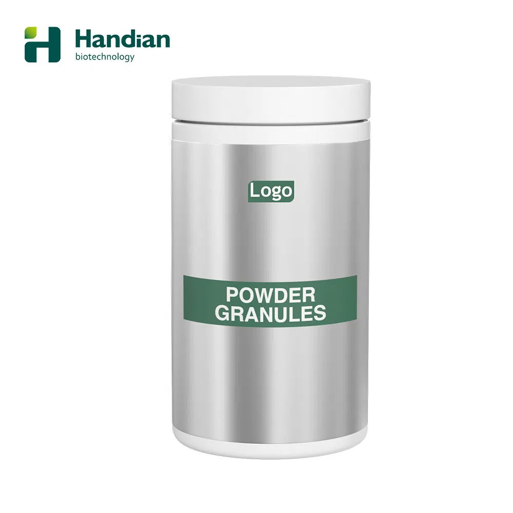 Supports Immunity and Gut Health Super Greens Powder Daily Greens Superfood Powder