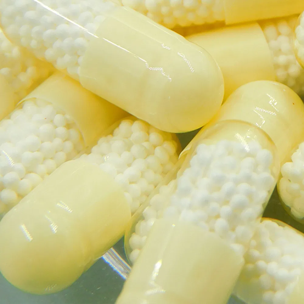 Health Food Mental &amp; Physical Stamina Chronic Fatigue Fighter