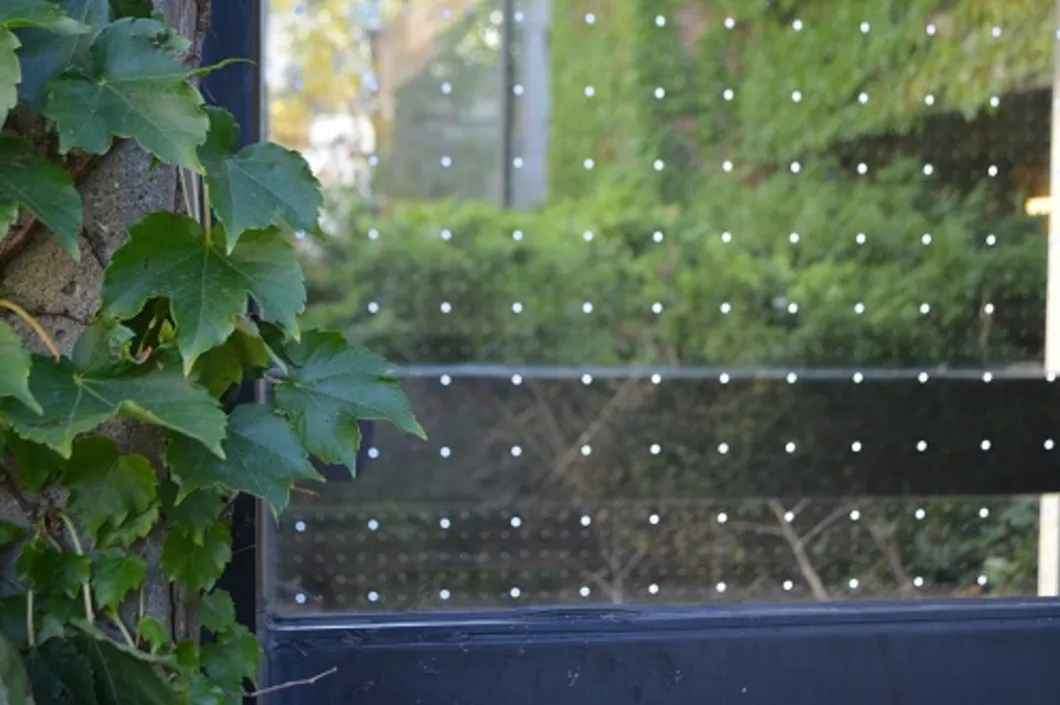 Glass Protection View