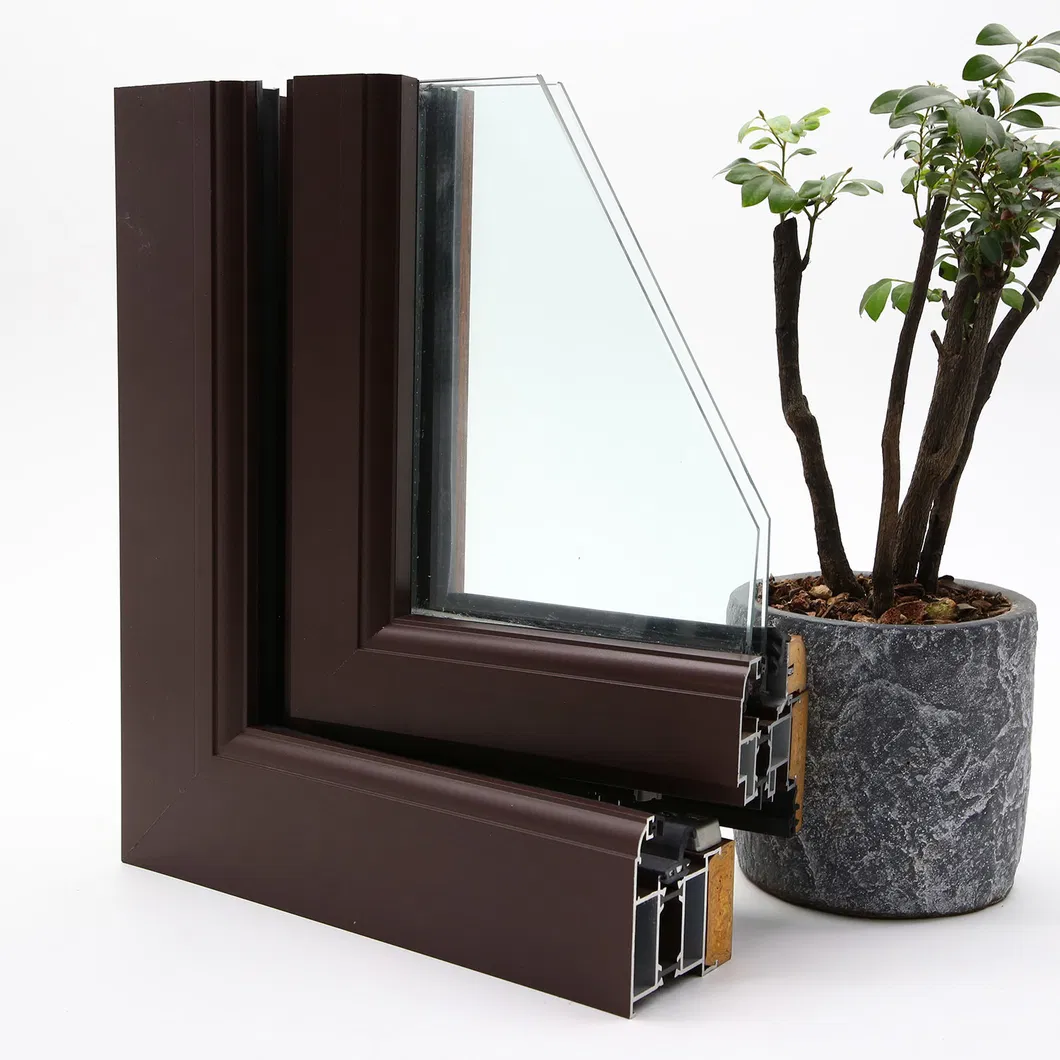 Insulated Glass Unit