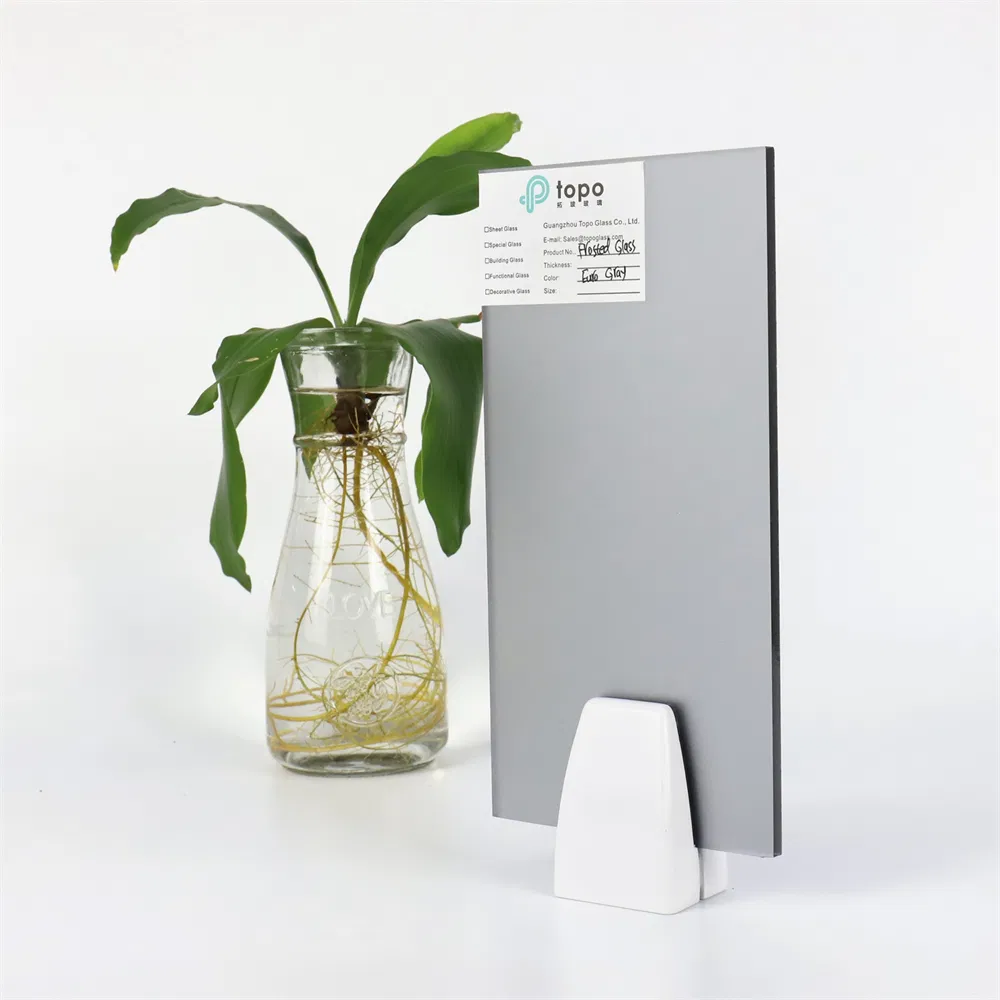 Euro Grey Frosted Glass