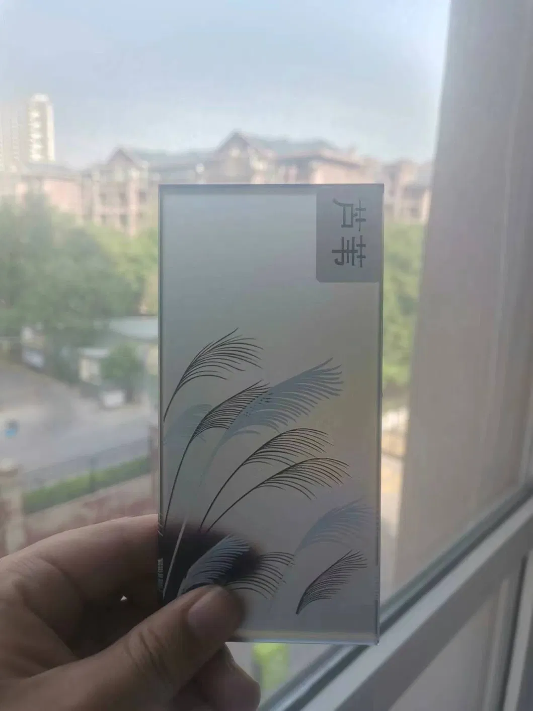 Acid Etched Pattern Glass 2