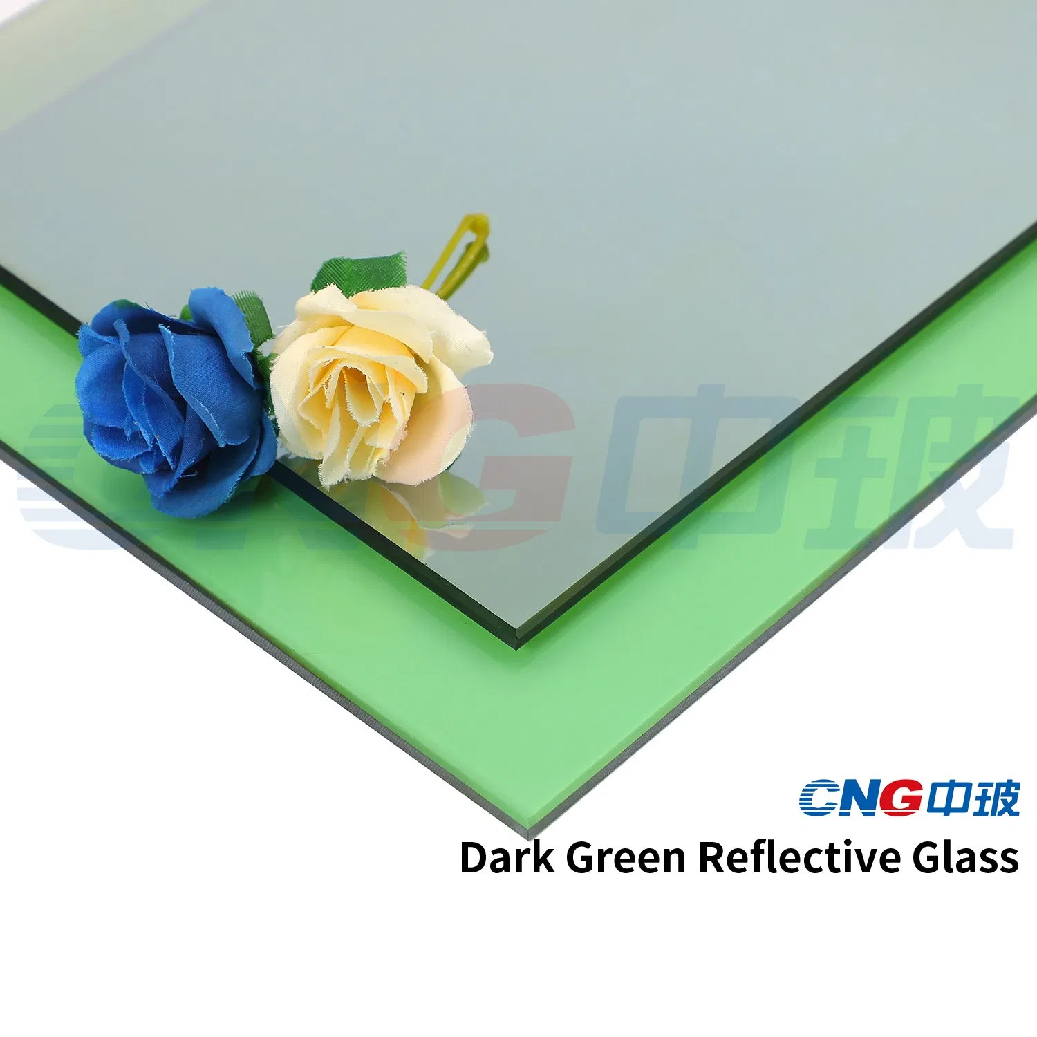 Hot Selling 4mm/5mm/6mm Decorative Glass / Designed Glass / Silk Screen Glass / Printed Glass