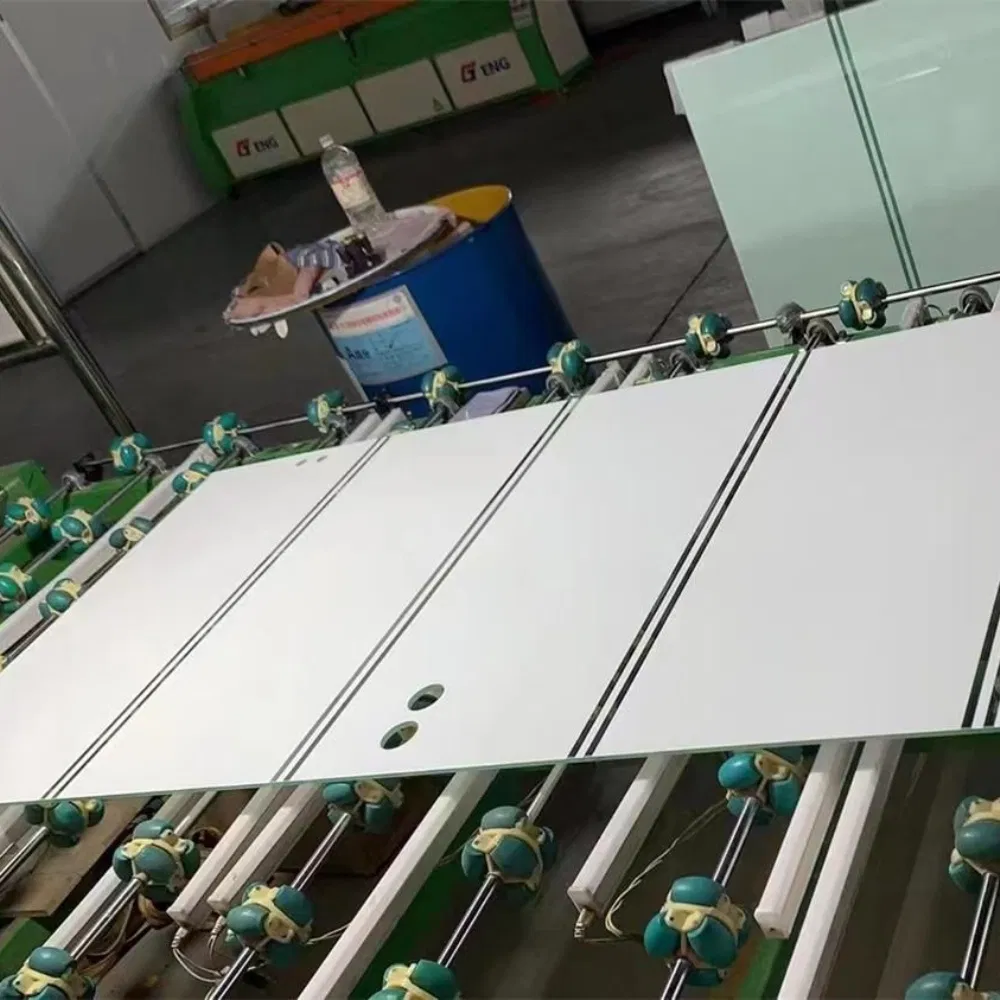 China Manufacture 6mm 10mm Screen Print Glass/ Digital Printing Glass/ Tempered Glass/ Laminated Glass/ Building Glass