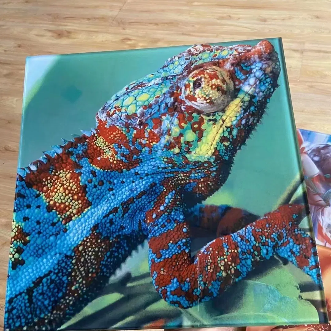 China Manufacture 6mm 10mm Screen Print Glass/ Digital Printing Glass/ Tempered Glass/ Laminated Glass/ Building Glass