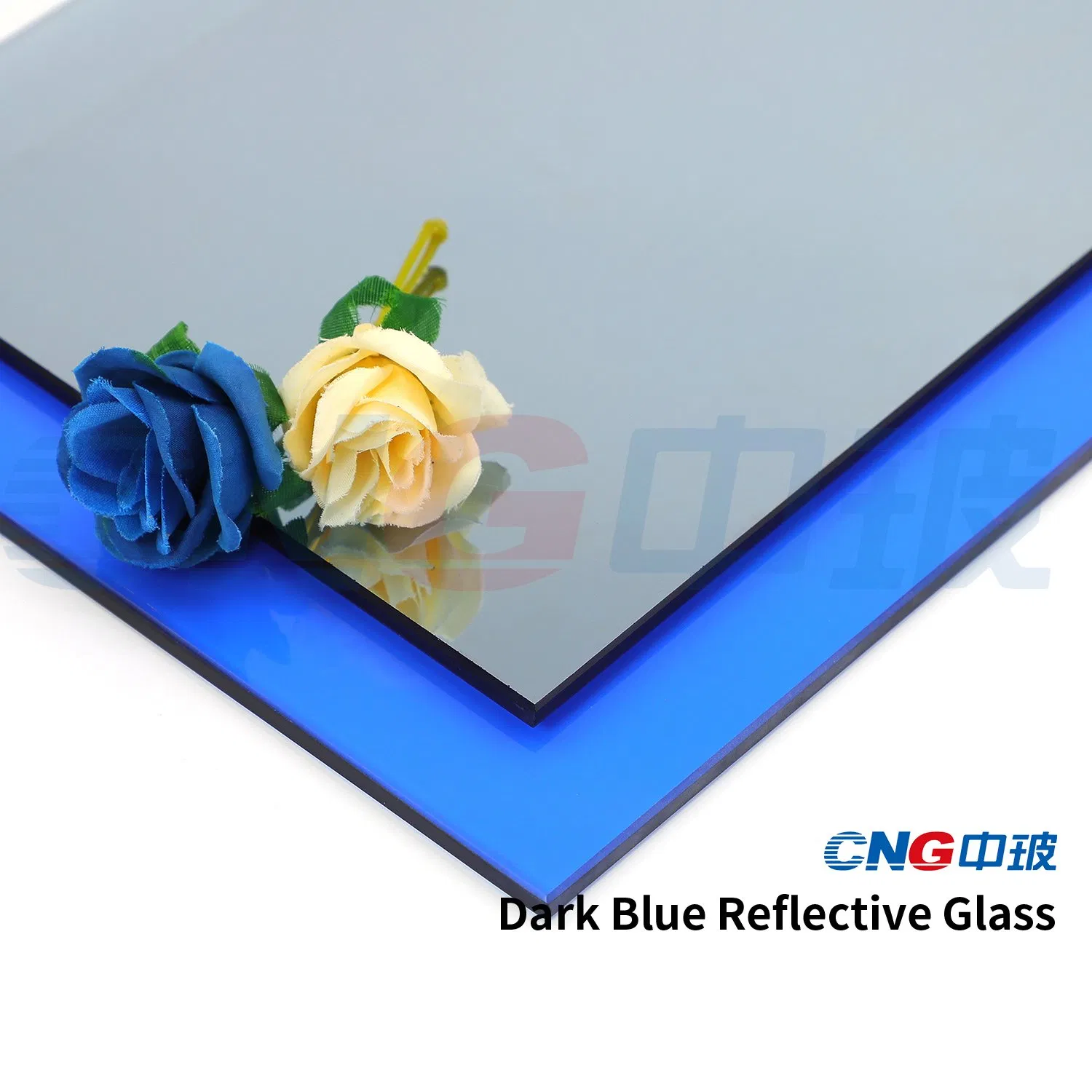 Hot Selling 4mm/5mm/6mm Decorative Glass / Designed Glass / Silk Screen Glass / Printed Glass