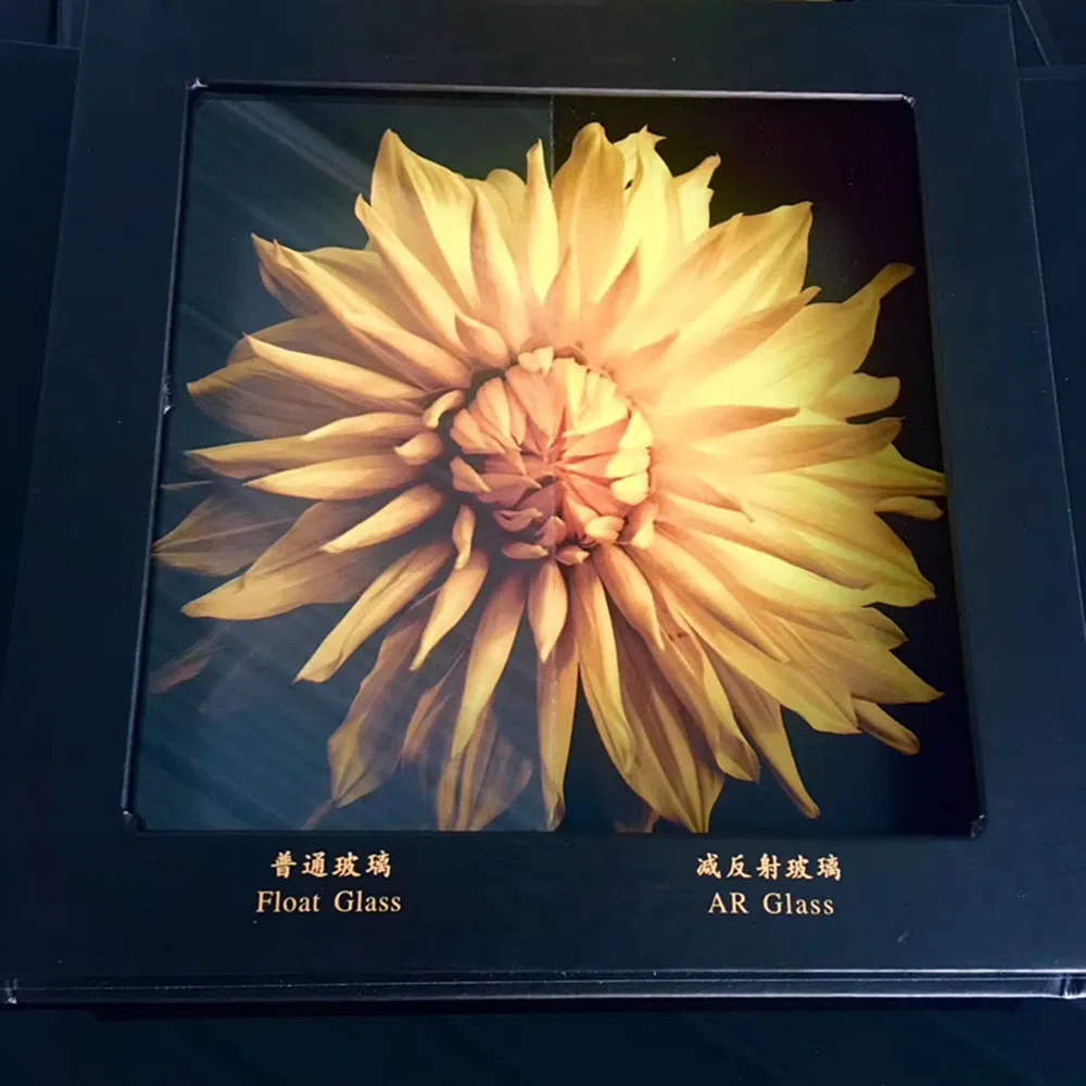 5mm 6mm 8mm 10mm 12mm Strong Impact Resistance Ar Coated Anti-Reflective Museum Glass (AR-TP)