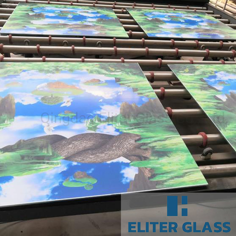 Architectural Glass/Building Glass/Tempered Silk Print Glass/ Digital Printing Glass/Factory Price