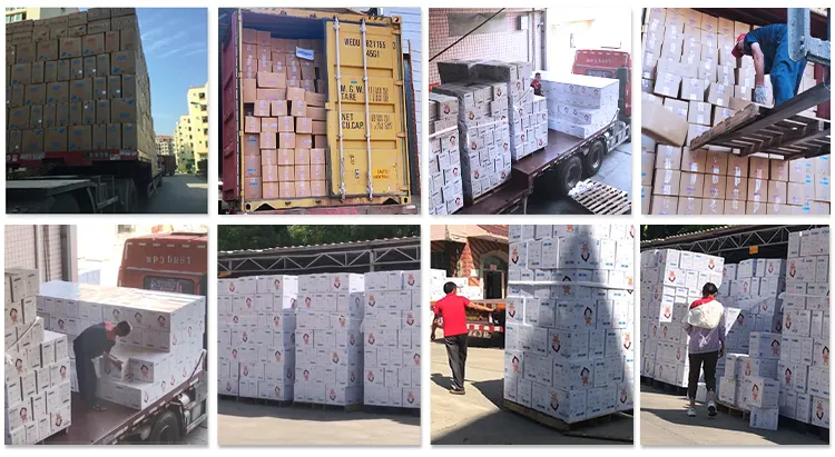 Packaging & Shipping