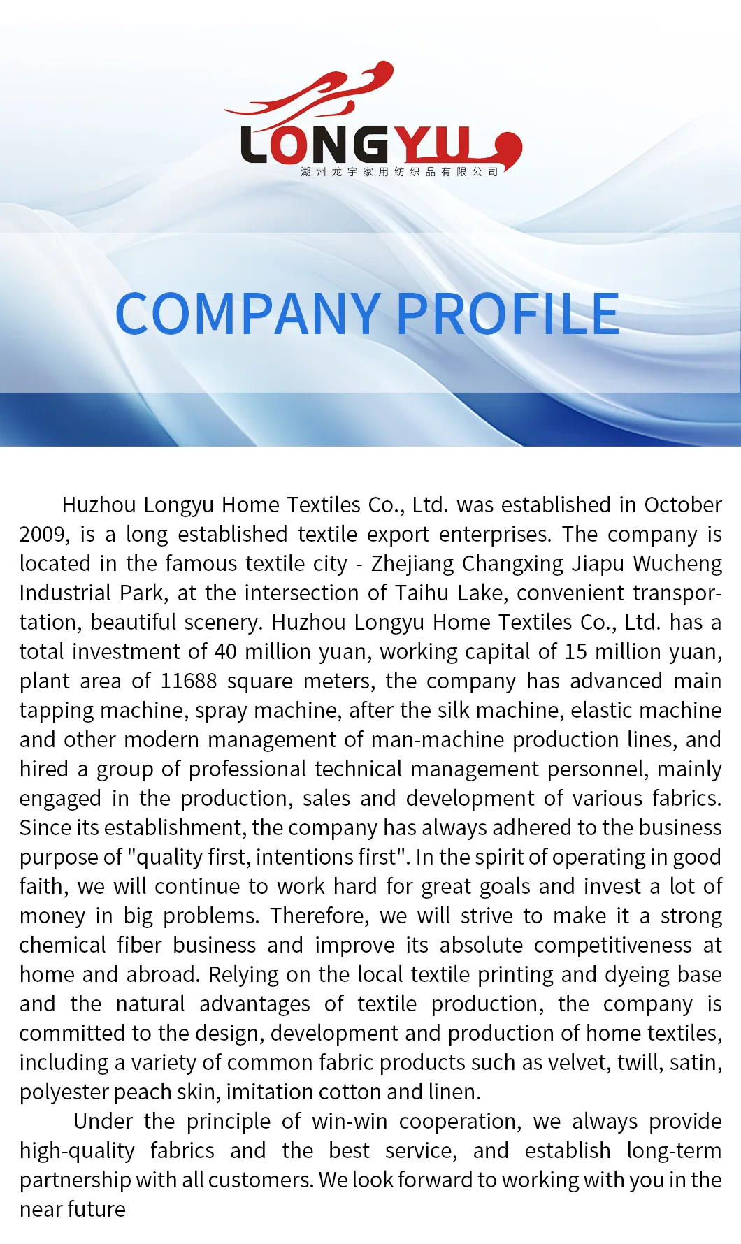 Satin Brushed Fabric Detail 1