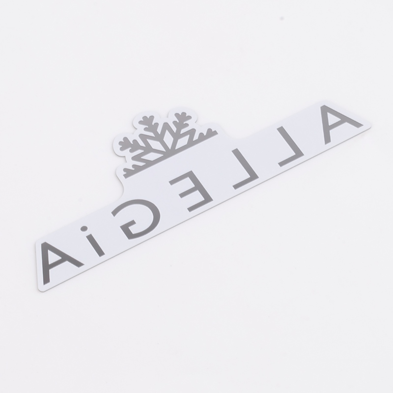 Premium Stainless Steel Logo for Custom Branding Solutions and Identification