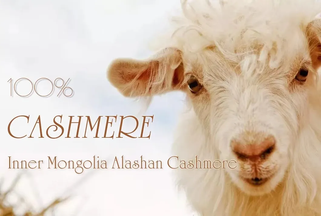 Turtleneck Sleeveless Sweater Vest