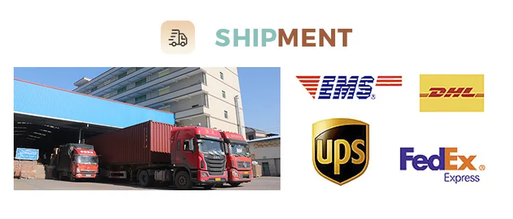 Baby Training Pants 10