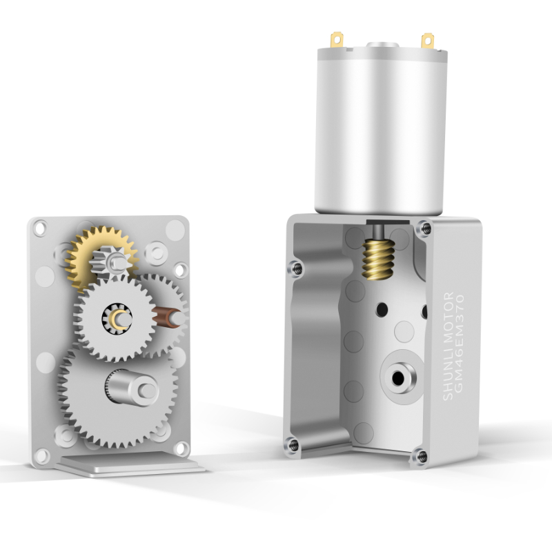 Shunli Custom High Torque Worm Micro Gear Motor 12v 24v 36v 25kg 190rpm Worm Gear Box Reduction Motor