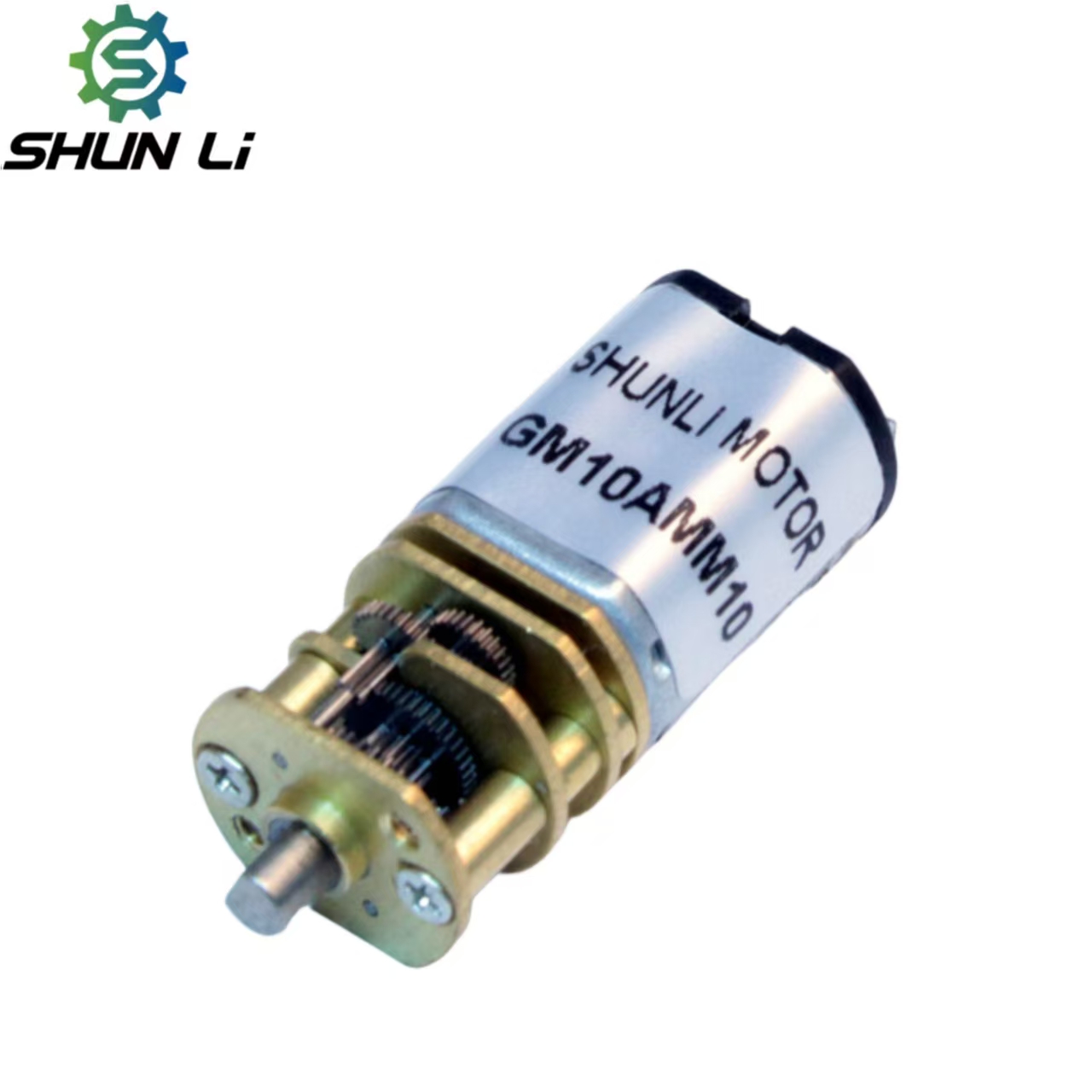 10MM 15 Rpm Low RPM Permanent Magnet Generator 3V 6V 12V Brush Commutation DC Gear Motor for Home Appliance Use