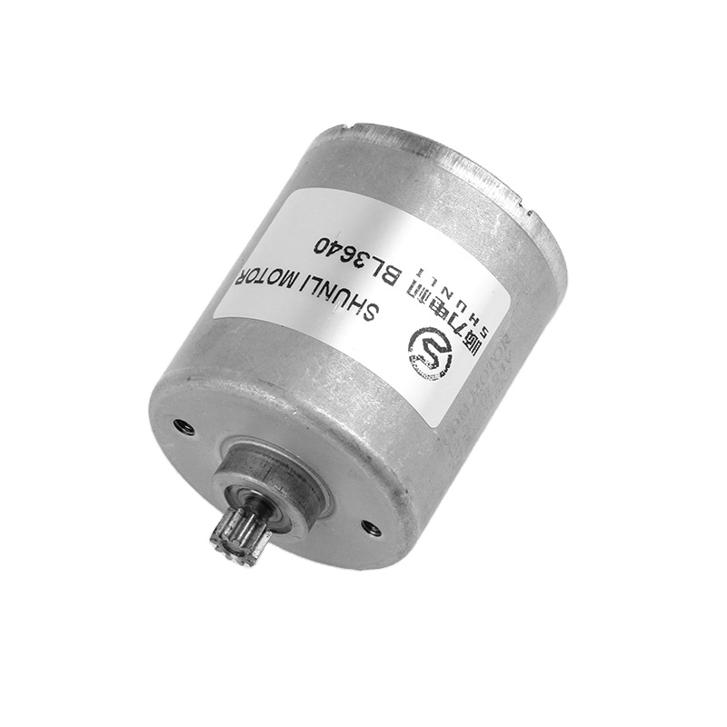 Brushless Motor for Blender Shenzhen Manufacturer 3 Watt 24v Micro Motor CAR Permanent Magnet FAN