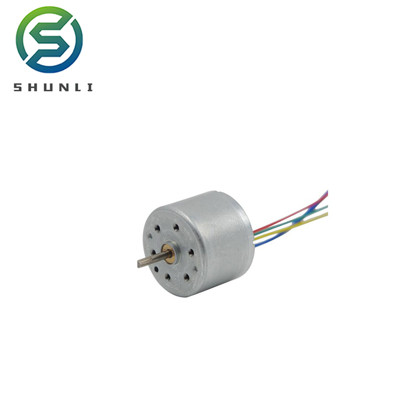 Micro Brushless Dc Motor for Fan/hair Dryer/rc Plane/vacuum Cleaner 6V 12v 24V High Speed 10000rpm Round Permanent Magnet 18mm