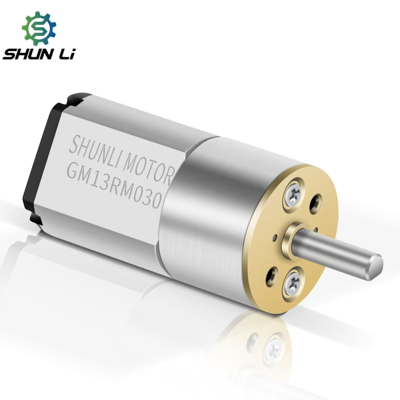 13mm 6v 12v 24v Geared Dc Motor Micro Dc Geared Motor High Speed 300rpm for Screwdrivers / Medical Equipment/ Cosmetic Equipment