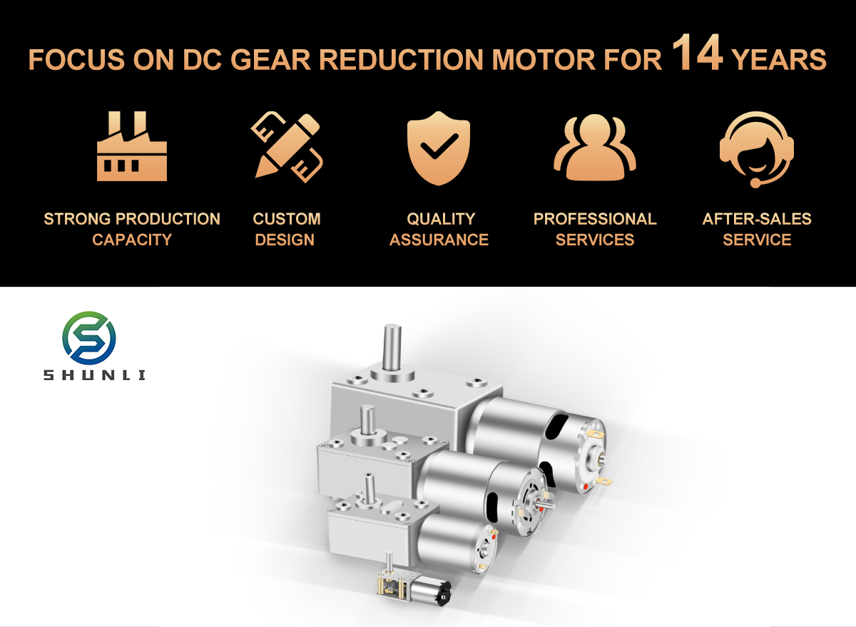 Customizable 0.1A 24V Dc Motor Worm Gearbox 9V 12V Motor With Worm Gear Motor for Vending Machine
