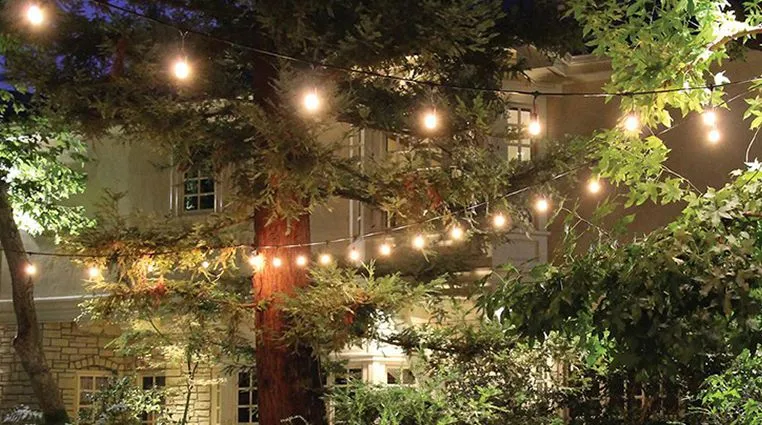 Solar String Light Overview