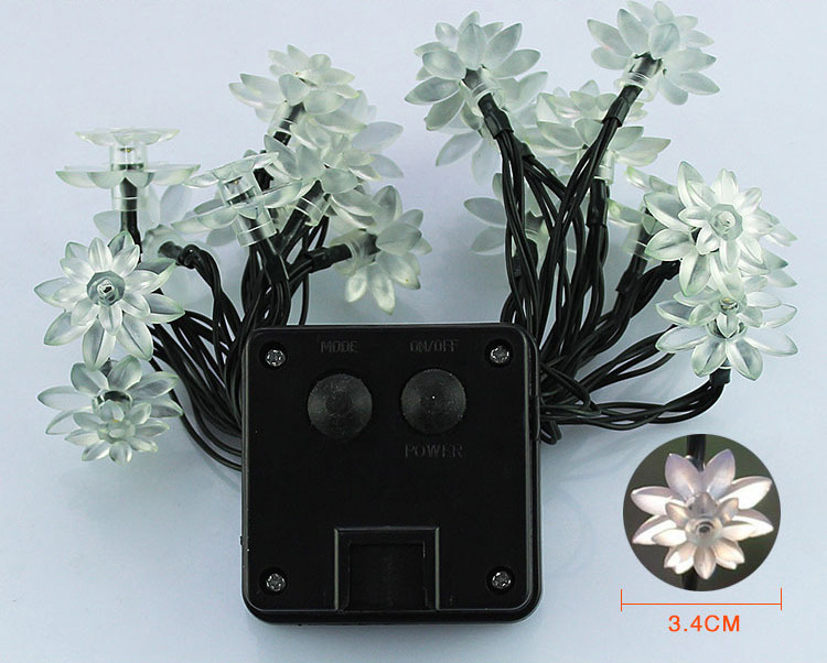 Vibrant Single Color 30 LED Solar String Lights for Outdoor Decor