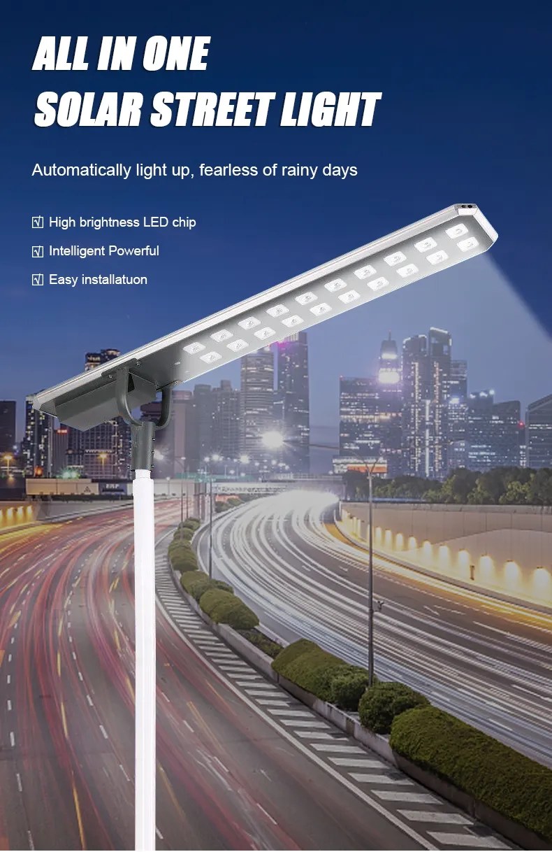 Solar Street Light 2