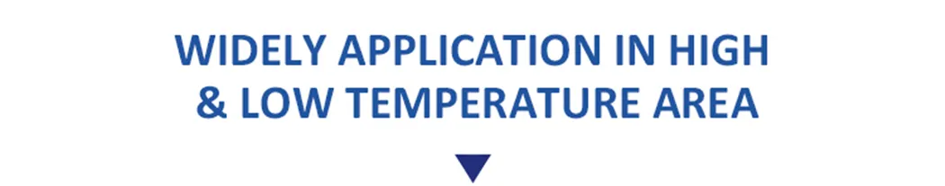 Solar Light Detail 8