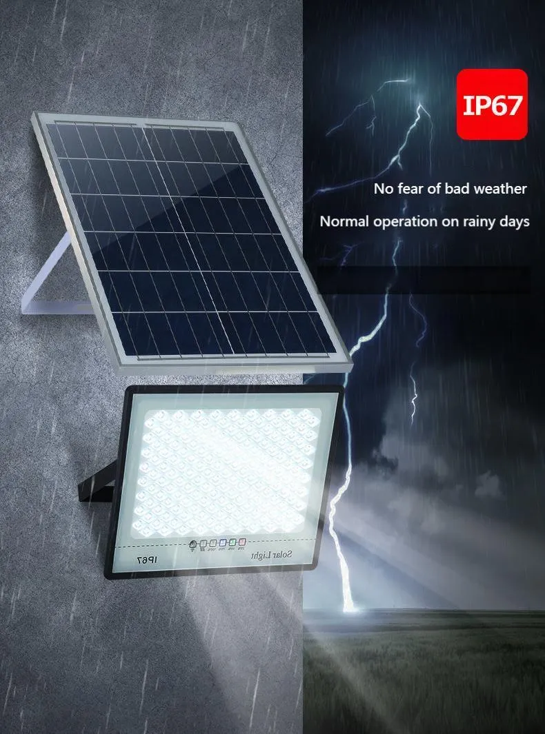 Solar Flood Light Detail