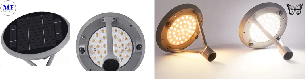 Detailed Product View