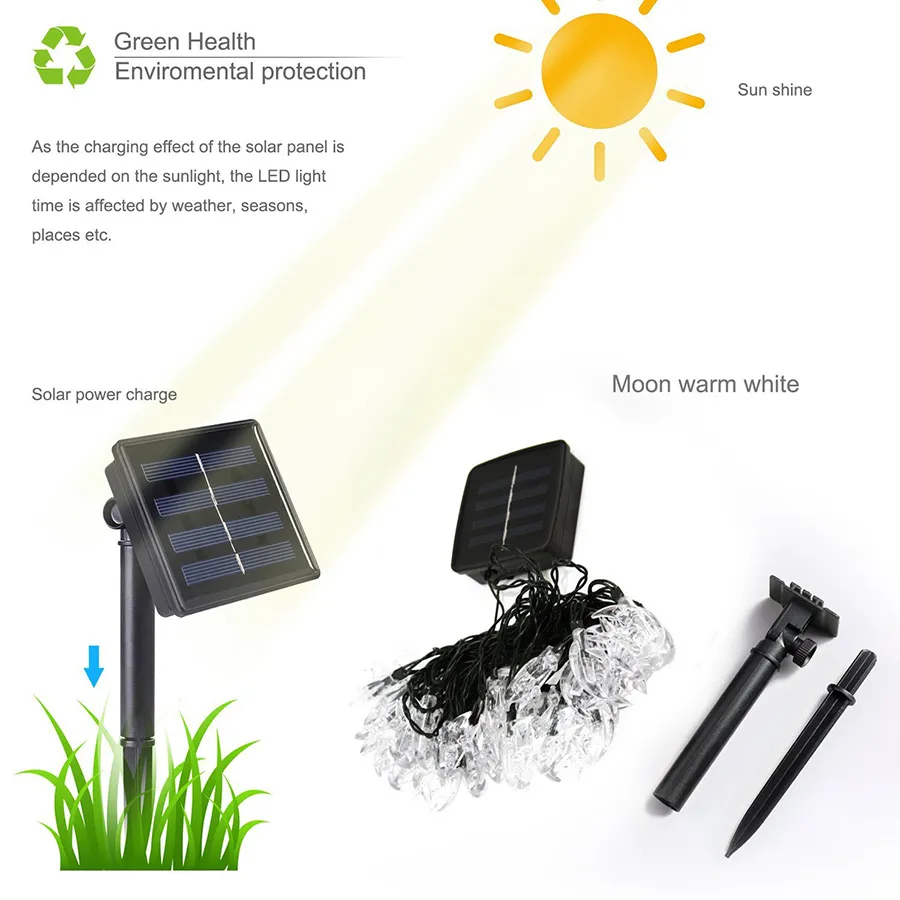 Solar Light Detail 4