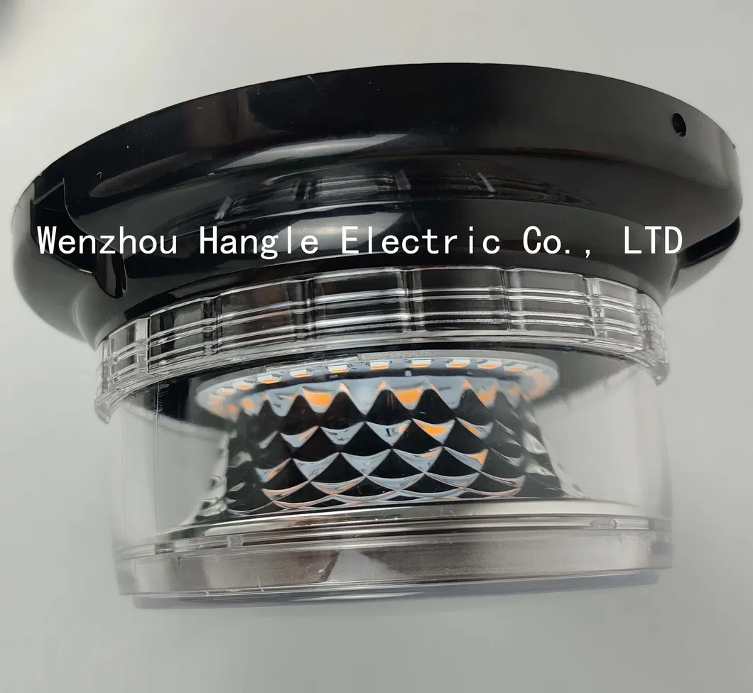 Warning Lamp Detail 3