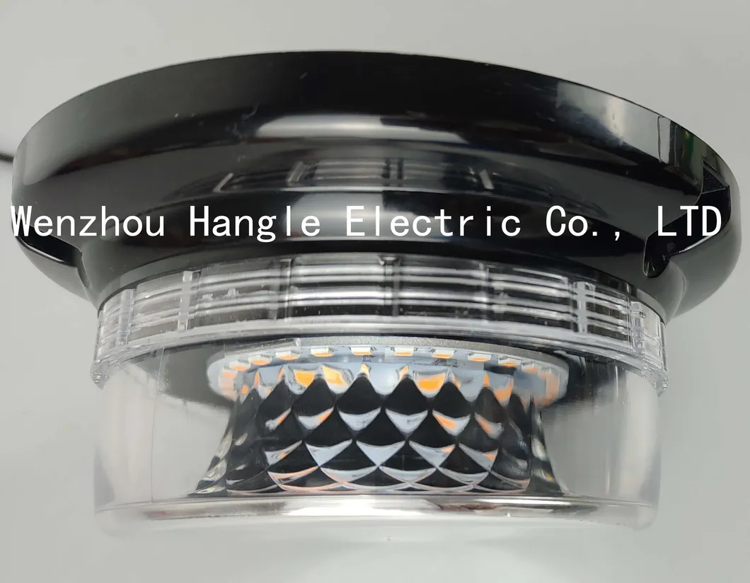 Warning Lamp Detail 2