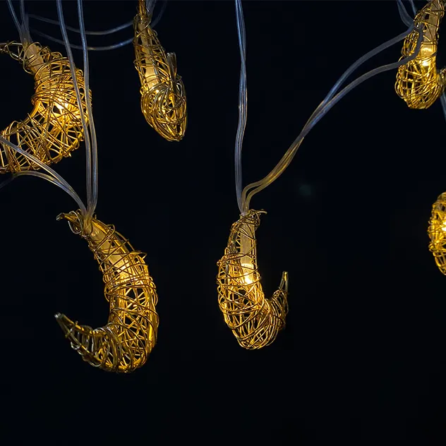 Solar Light Detail 2