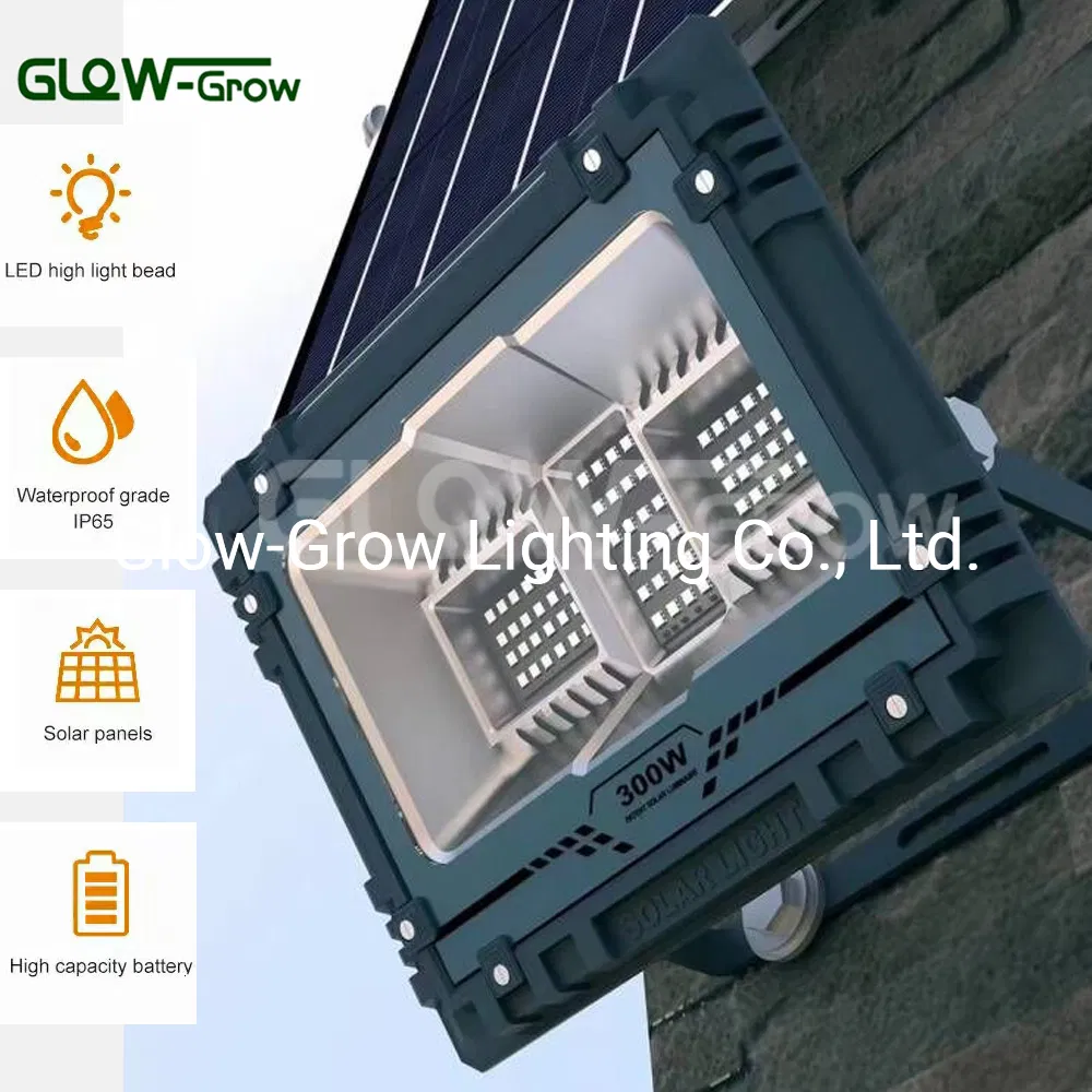 Solar LED Flood Light Details