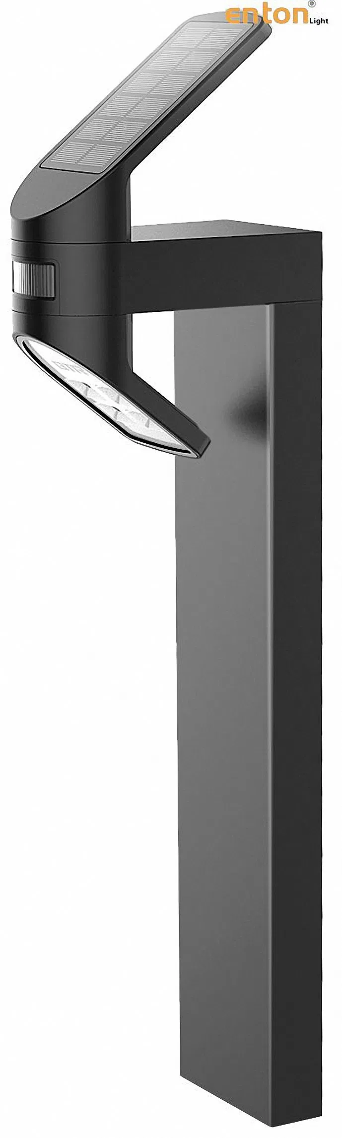 Bright Green Solar Path Lights for Sustainable Garden Lighting