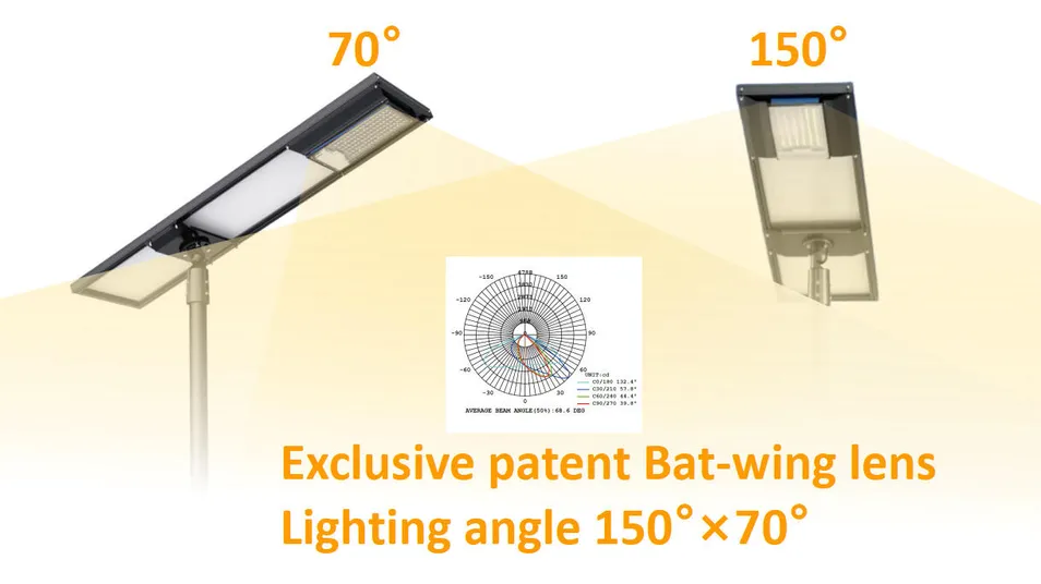 Bat-wing Lens