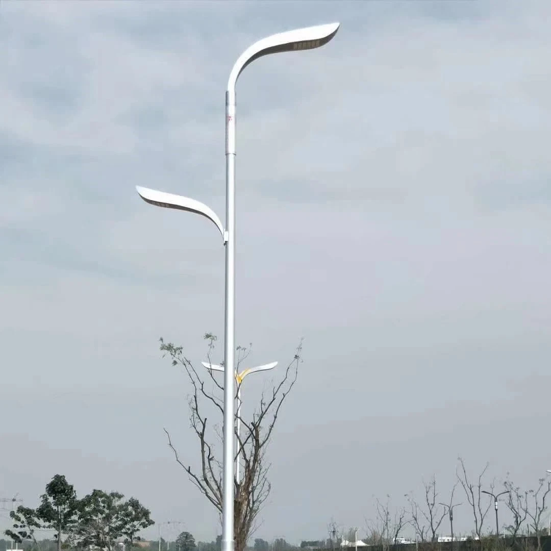 Solar Street Light for Government Road Lighting Project with Factory Price