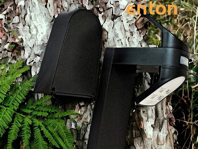 Bright Green Solar Path Lights for Sustainable Garden Lighting