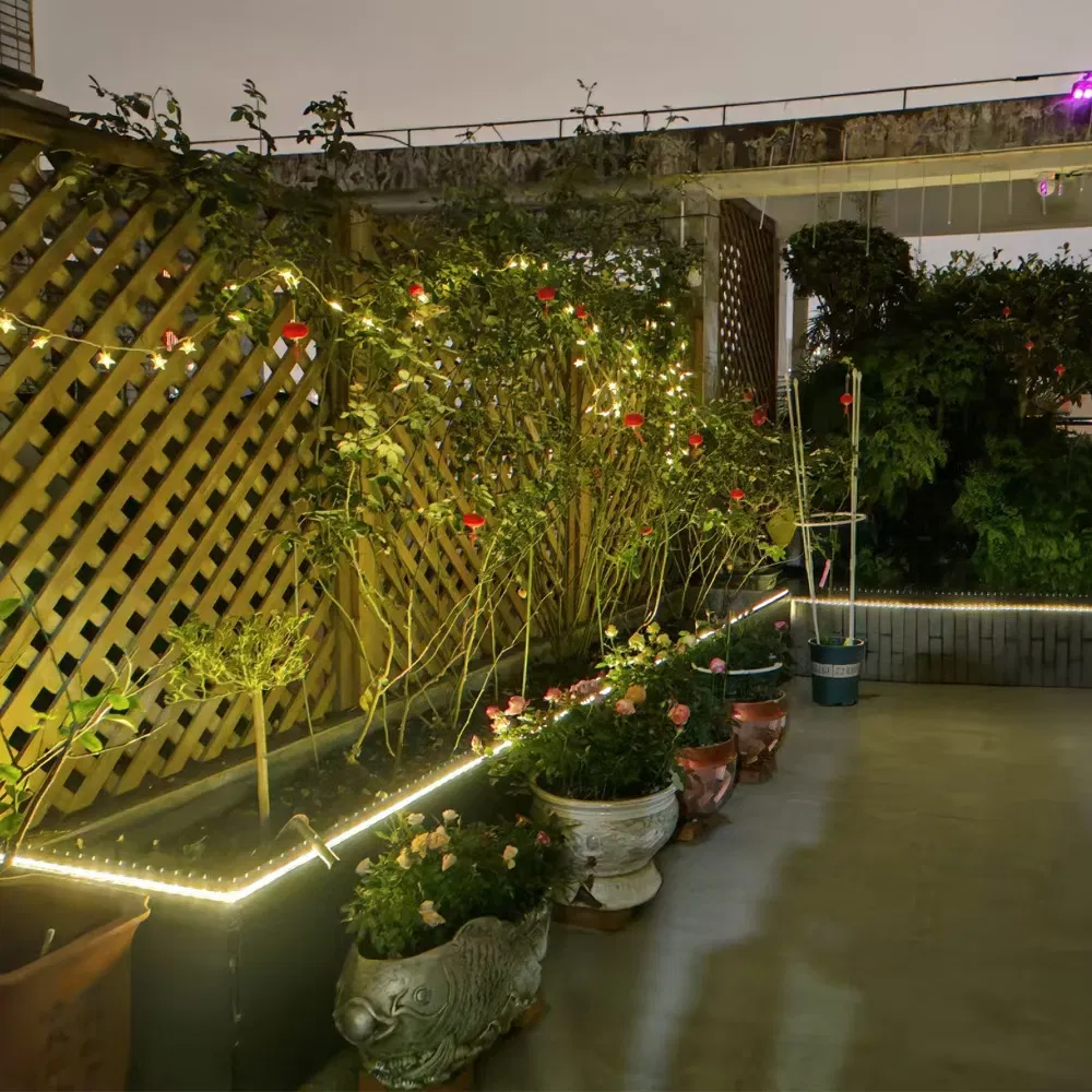 Solar LED Rope Lights 2