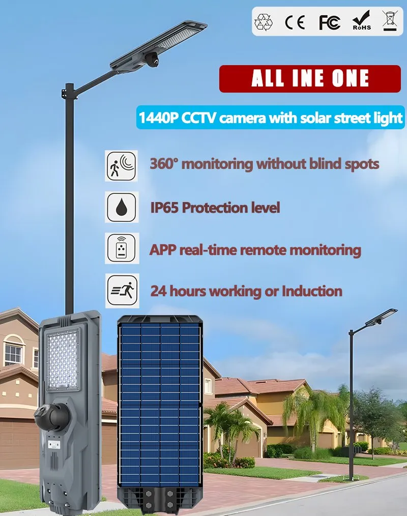 Solar Street Light Camera Main